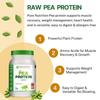 PURE NUTRITION NATURAL TREASURES Pea Protein Isolate Powder 1Kg | 100% Pure Plant-Based Protein for Men & Women | 25.5g Protein & 4g BCAA | Ideal for Muscle Growth (33 Servings) view 2