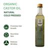 ANTIQUE AYURVEDA Organic Castor Oil, Cold-Pressed and 100% for Hair, Skin, and Therapeutic Uses (500Ml) view 4