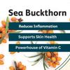 CONSA Organic Sea Buckthorn Berry Powder (200 Gram) - 100% Pure Sea Buckthorn Powder - Source of Various Vitamins & Minerals view 4