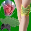 Knee Relief Patches Herbal Patch For Knee Pain Adhesive Knee Pads BB view 1