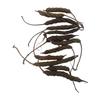Vinarghya  Marodfalli/Murad Phalli/Muradphalli/Helicteres Isora/Marorphali/Indian Screw/Marori/Atmora/Mriga Shinga/Muradsheng  900g view 4