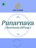 A D Food & Herbs Punarva/Punarnava/Boerhavia Diffusa Dried Pure and Natural (50 Gms) view 4