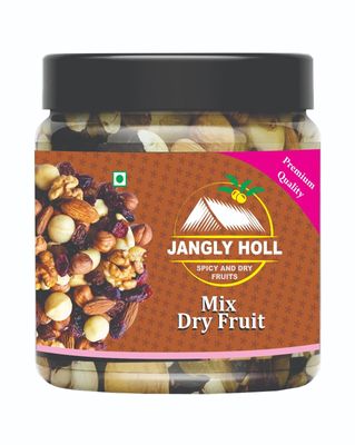 JUNGLY HOLL Premium Trail Mix - Cashew, Raisins, Almonds, Apricots, Goji Berry, Pumpkin Seeds, Sunflower Seeds, Cranberry, Blueberry, Plum | Dry Fruits Mix Perfect for Gifting (250 Gram, Mix Dry Fruit)