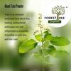 Forestree Tulsi Leaf Powder, Organic Holy Basil Extract, Ayurvedic Health Supplement for Immunity and Wellness (100gm(pack of 2)) view 4