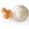 ORGANIC UNCLE Gum Arabic Powder | Pure Original Ingredients Gum Arabic Acacia Powder | Powdered Gum Acacia | Acacia Gum Powder (500 Gram) view 2