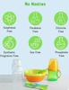 Babyhug Home Natural Dishwash Gel - 500 ml view 4
