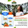 Biosash Seabuckthorn Stressaid Juice 250ml | Ayurvedic Blend with Brahmi, Shankhpushpi & Ashwagandha | Helps Stress Relief, Mental Clarity & Wellness  Omega-Rich 3 6 7 9 view 2