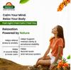 Biosash Seabuckthorn Stressaid Juice 250ml | Ayurvedic Blend with Brahmi, Shankhpushpi & Ashwagandha | Helps Stress Relief, Mental Clarity & Wellness  Omega-Rich 3 6 7 9 view 3