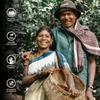 ARAKU Signature Coffee and Cup Combo  1 Pack of 250 g Freshly Roasted 100% Arabica Beans and 1 Cappuccino Orange cup set view 4