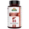 Biosash Liver & Kidney Capsules  60 Capsules | Ayurvedic Detox Supplement for Kidney Cleanse, Stone Wellness & Liver Health | Herbal Formula for Fatty Liver Care, Sea Buckthorn Berry & Daily Detox view 1