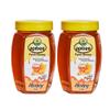 Apibee Farm Honey 500 g (Buy 1 Get 1 Free) | 100% Pure & Natural Honey | Raw Farm-Sourced Honey with No Added Sugar | Daily Use Natural Sweetener (Pack of 2) view 1