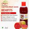Aagam Prickly Pear Cactus Fruit Juice, Hemoglobin Booster, No added sugar 500 ML view 3