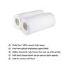 ETSAP (pack of 4)2 Ply Toilet Tissue Rolls | 400 sheets| 100 Toilet Tissue X 4 Rolls | Soft And Highly Absorbent | Natural semi Virgin(pack of 4) view 2