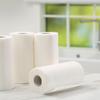 ETSAP (pack of 4)2 Ply Toilet Tissue Rolls | 400 sheets| 100 Toilet Tissue X 4 Rolls | Soft And Highly Absorbent | Natural semi Virgin(pack of 4) view 3