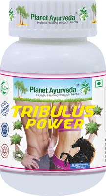 Planet Ayurveda TRIBULUS POWER Herbal Supplement, 60 Capsules - Gokshur Extract (Tribulus terrestris), 500 mg, Vegetarian