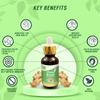 7vik Clean Boond Ginger Drops 20ml | 5ml | Supports Immunity | Enhances Respiratory Health | Stress Management | Natural Extract Pack of 1 view 2