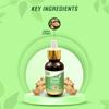 7vik Clean Boond Ginger Drops 20ml | 5ml | Supports Immunity | Enhances Respiratory Health | Stress Management | Natural Extract Pack of 1 view 3