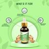 7vik Clean Boond Ginger Drops 20ml | 5ml | Supports Immunity | Enhances Respiratory Health | Stress Management | Natural Extract Pack of 1 view 4