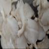 Aadi16's Bengal Home Cultivated Pearl Oyster Mushroom, Sun Dried Pleurotus Ostreatus without any Preservatives for Health wellness, Pack of 250gm. (Obtain from 4kg of Fresh Mushrooms) view 2