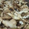 Aadi16's Bengal Home Cultivated Pearl Oyster Mushroom, Sun Dried Pleurotus Ostreatus without any Preservatives for Health wellness, Pack of 250gm. (Obtain from 4kg of Fresh Mushrooms) view 3