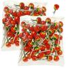 Farm Bites : StrawberryFlavoured Lollipop | Strawberry Lollipops for Kids | Strawberry Candies - 30 Count (Pack of 2) view 1