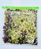 MOBDESK 10 Green Zipper Bag Zip Lock Pouch Veg Bag | Bags for Storage | Freezer Bags | Transparent Multi-Purpose Storage Slider Bags | Food Storage Bag | Stationery Pouch | Reusable Ziplock Pouch view 3