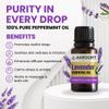 Aarogrit 100% Pure Lavender Essential Oil for Hair Growth, Skin Care, Face & Aromatherapy For Men & Women | Therapeutic Grade Oil Ideal for Relaxation & Meditation 10ml view 2