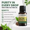 Aarogrit 100% Pure Natural & Organic, Undiluted Tea Tree Essential Oil for for Skin, Hair, Face, Acne Care, Dandruff | Promotes Hair Growth | Therapeutic Grade | 10ml view 2