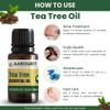 Aarogrit 100% Pure Natural & Organic, Undiluted Tea Tree Essential Oil for for Skin, Hair, Face, Acne Care, Dandruff | Promotes Hair Growth | Therapeutic Grade | 10ml view 3