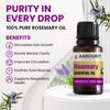 AAROGRIT Rosemary Essential Oil for Hair Growth | Controls Hair Fall, Nourishes Scalp & Strengthens Hair | 100% Pure & Organic | Undiluted Natural Oil for Hair & Skin Care | For Men & Women view 2