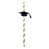 BNF10 Pieces Glitter Dr. Cap Stripe Paper Drinking Straw Graduation Party Decor|10 Pieces Paper Straws|Home & Garden view 1