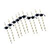 BNF10 Pieces Glitter Dr. Cap Stripe Paper Drinking Straw Graduation Party Decor|10 Pieces Paper Straws|Home & Garden view 4