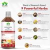 GAGRISHI Cholesterol Care Juice  100% Natural Heart Health Support  Helps Regulate Cholesterol & Blood Pressure  Boosts Cardiovascular Function, Metabolism & Energy  Ayurvedic Plant-Based Formula (1000) view 4
