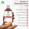 GAGRISHI Cholesterol Care Juice  500ml | 100% Natural Ayurvedic Formula for Heart Health, Cholesterol & Blood Pressure Support | Boosts Cardiovascular Wellness, Metabolism & Energy view 3