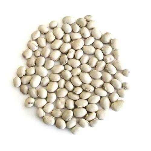 Kritanjali Creations White Kaunch beej, Konch Seed, Safed Koch ke beej Alkushi, Kauch, Mucuna Pruriens, Velvet Beans, Kapikachhu, Cowitch, Cowhage (450 GM)