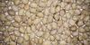 Kritanjali Creations White Kaunch beej, Konch Seed, Safed Koch ke beej Alkushi, Kauch, Mucuna Pruriens, Velvet Beans, Kapikachhu, Cowitch, Cowhage (450 GM) view 2