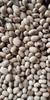 Kritanjali Creations White Kaunch beej, Konch Seed, Safed Koch ke beej Alkushi, Kauch, Mucuna Pruriens, Velvet Beans, Kapikachhu, Cowitch, Cowhage (450 GM) view 3