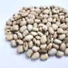 Kritanjali Creations White Kaunch beej, Konch Seed, Safed Koch ke beej Alkushi, Kauch, Mucuna Pruriens, Velvet Beans, Kapikachhu, Cowitch, Cowhage (450 GM) view 4