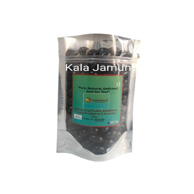 DADHISAGAR Kala Jamun Chatkara Goli, Blackberry Flavoured Candy Shots, Sweet and Sour Churan (400g(pack1))