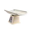 Dishan Analog Baby Weight Machine Accurate and Reliable Weight Upto 10Kg Capacity Weighing Scale (White) view 2