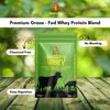 Alpha Labz Grass Fed Whey Protein Concentrate | 26g Protein with Digestive Enzymes | Muscle Gain, Strength, Muscle Recovery Protein Powder for Men, Women & Athletes - 908g/2Lbs view 3