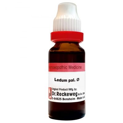 Dr. Reckewega. Ledum Pal Q Mother Tincture - Homeopathic Dilution for General Wellness | Pack Of 1