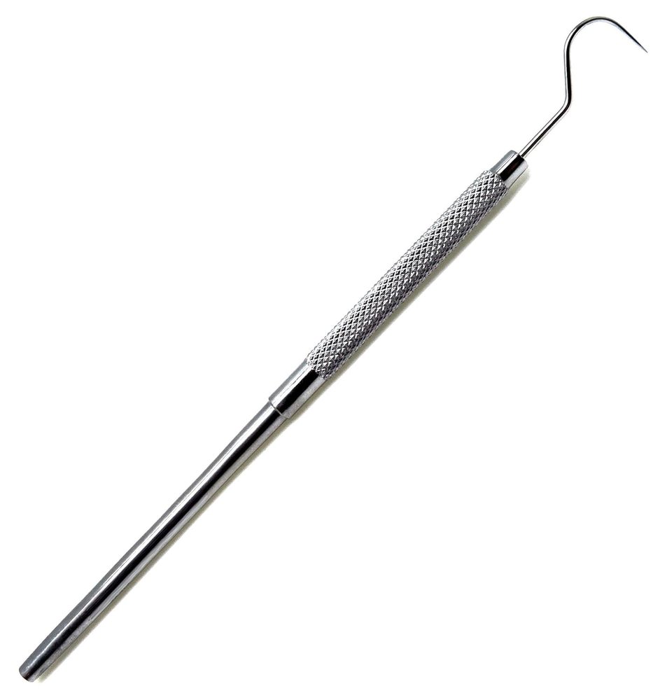 Explorer Probe (5)