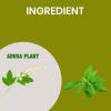 Adoosa Churna - 500g Pack Of 1 view 2