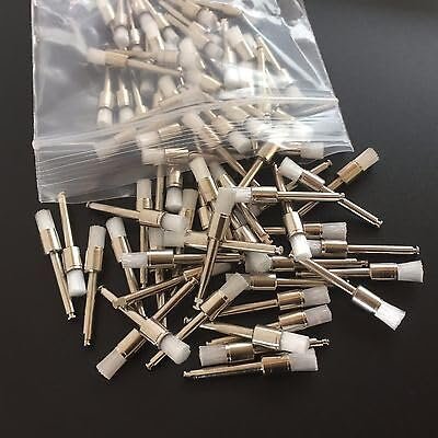 Polishing Brush (2)