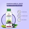 Uma Ayurveda Jamun Karela Juice 1L | Natural Remedy For Blood Sugar Management | Jamun Karela Juice Good for Digestive Health | Ayurvedic Jamun Karela Juice For overall Health, Manage Bad Cholesterol Levels and Wellness view 2