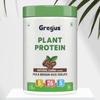 Gregus Vegan Protein Powder Coffee flavour- 26g Plant Protein per Serving (35g) | Sugar-Free, Dairy & Gluten-Free | Supports Lean Muscle Growth | Ideal for Men & Women | 500gx2 (1Kg) view 2