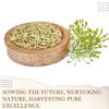 Fresh Wish Small Fennel Seeds Whole Spices,No Added Colours Or Preservatives-400gm view 2