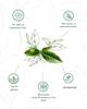 1950 Origins Combo Pack-Assam Symphony&Regal Harmony|100% Natural Loose Leaf Tea|Assorted Black Tea Gift Pack  Premium Assam & Long Leaf Darjeeling Tea|Rich,Strong & Fresh|Tin Caddy, 150 gm X 2 view 2