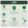 1950 Origins Combo Pack-Assam Symphony&Regal Harmony|100% Natural Loose Leaf Tea|Assorted Black Tea Gift Pack  Premium Assam & Long Leaf Darjeeling Tea|Rich,Strong & Fresh|Tin Caddy, 150 gm X 2 view 4